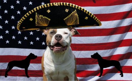 Logo-Smiling-Amigo's