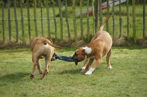 galerie_1 fotogalerie